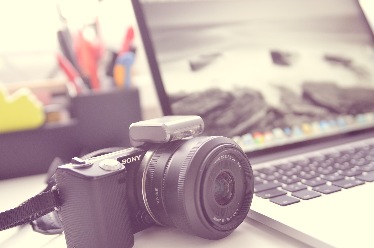 About OWD WEB DEVELOPMENT LLC
